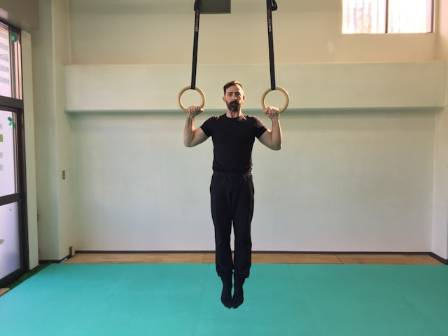 The Essence of Men’s Artistic Gymnastics: A Comprehensive Guide to the Six Disciplines