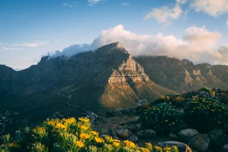 Table Mountain, A Natural Wonder
