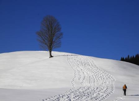 How and Why to Take Up Winter Hiking