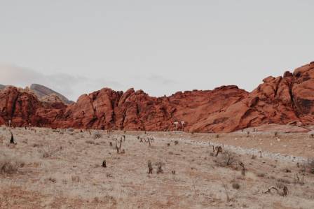The 5 Largest Deserts Across the Globe