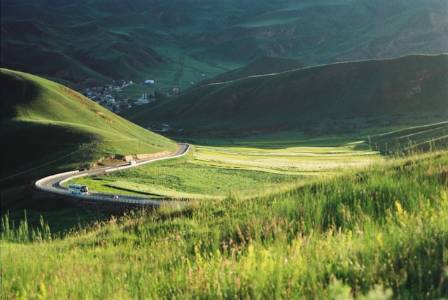 Roadside Grassland Restoration: Turning Challenges into Opportunities